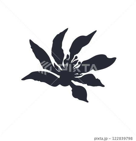 Black and white minimal rustic inky flower silhouette 122839798