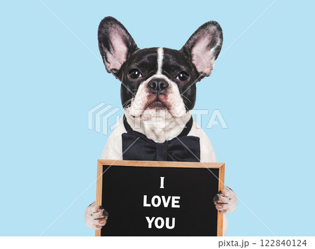 I Love You. Cute puppy and congratulatory inscription 122840124