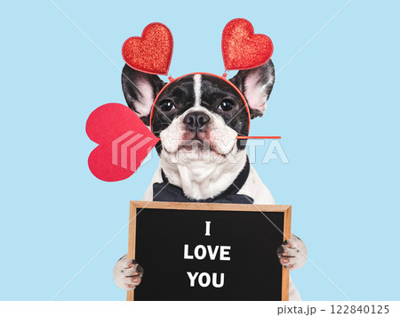 I Love You. Cute puppy and congratulatory inscription I Love You. Cute puppy and congratulatory inscription 122840125