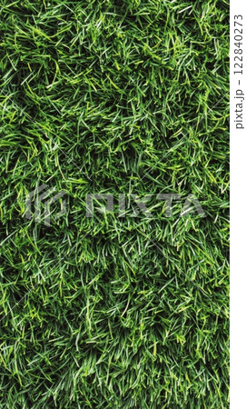 Lush green grass covering the ground in a sunny outdoor location during daytime 122840273
