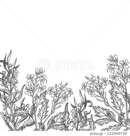 Floral background with mustard bloom and tarragon leaves. Vector. Graphic botanic illustration. Hand drawn ink sketch. Twigs for packaging condiment, flower postcard, greeting card, invitation. Floral background with mustard bloom and tarragon leaves. Vector. Graphic botanic illustration. Hand drawn ink sketch. Twigs for packaging condiment, flower postcard, greeting card, invitation. 122840739