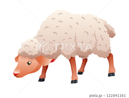 Small cartoon sheep. Lamb flat vector illustration. Funny baby sheep with curly wool. Farm animal art isolated on white background 122841161