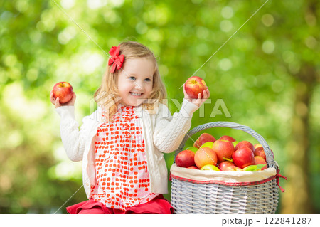Kids picking apples on fruit farm 122841287