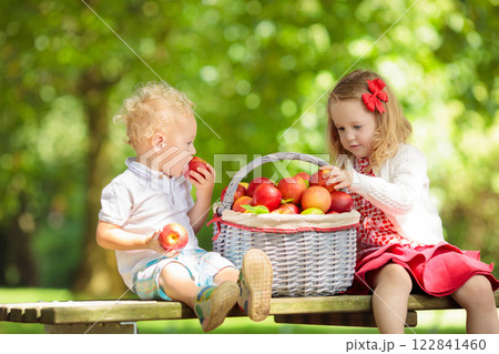Kids picking apples on fruit farm 122841460