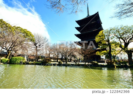 京都府 東寺・五重塔(国宝) 京都市 南区 九条町 2022年2月 京都府 東寺・五重塔(国宝) 京都市 南区 九条町 2022年2月 122842366