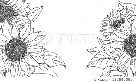 Sunflower line art border design. Two corners feature sunflowers leaves. Perfect print template invitation card. Black line drawing white background 122843099