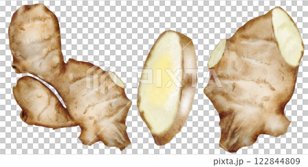 Ginger watercolor set. Hand drawn hot root on isolated white background. Clip art fruits and spices for hot drinks. Ideal for natural tea design and nutritionist blogs design Ginger watercolor set. Hand drawn hot root on isolated white background. Clip art fruits and spices for hot drinks. Ideal for natural tea design and nutritionist blogs design 122844809