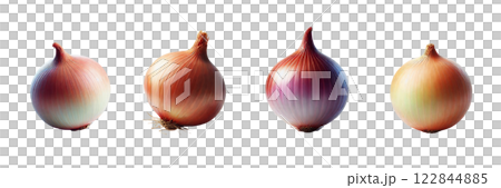 Fresh organic onions with their roots and tops, top view isolated on transparent background, PNG file. Perfect for mockup templates or educational designs 122844885
