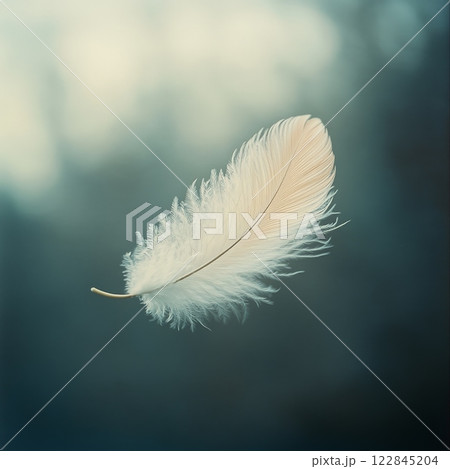 Single white feather gently floating on dark background 122845204