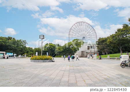 葛西臨海公園・中央園路/東京都江戸川区臨海町6丁目 葛西臨海公園・中央園路/東京都江戸川区臨海町6丁目 122845430