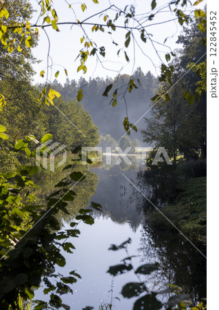 mixed forest and river in sunny weather in early August 122845452