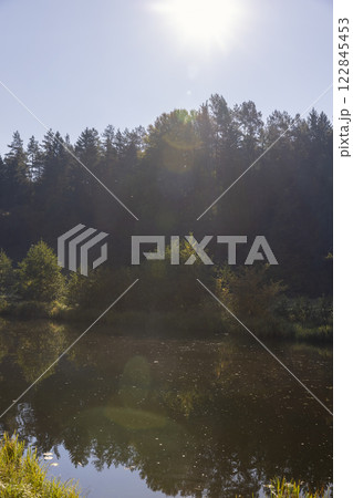 mixed forest and river in sunny weather in early August 122845453