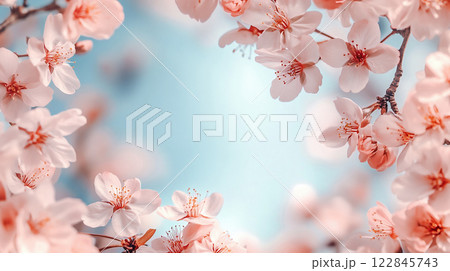 青空を背景に咲き誇る満開の桜・春の美しい花フレーム 122845743