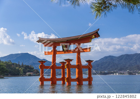 【広島宮島　大鳥居と松】 122845802