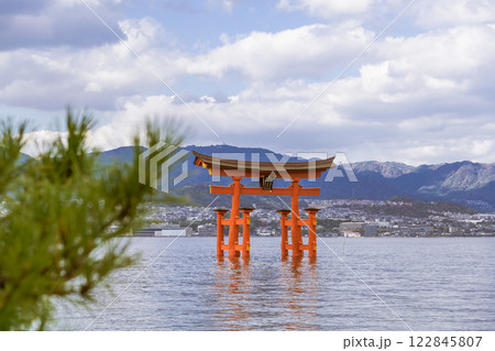 【広島宮島　大鳥居と松】 122845807