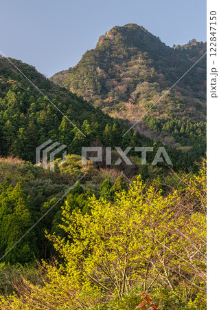 新緑若葉の山 神が宿る島 洋上アルプス屋久島 新緑若葉の山 神が宿る島 洋上アルプス屋久島 122847150