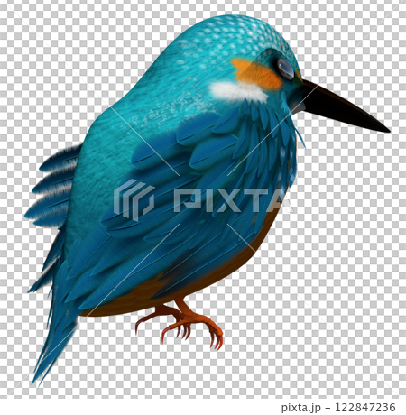 Kingfisher Kingfisher 122847236