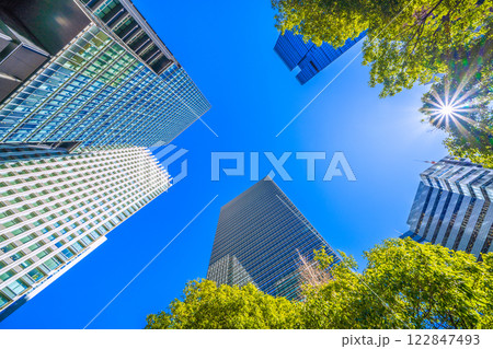 日本の東京都市景観 緑溢れる大手町。大手町プレイスや産経新聞社など大手町の摩天楼を望む＝2月8日 122847493