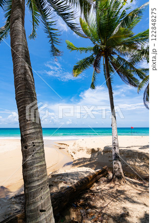 Summer background of Coconut Palm trees on sandy beach, Landscape nature view ocean bay with blue blue sky white clouds at Phuket island Thailand 122848275