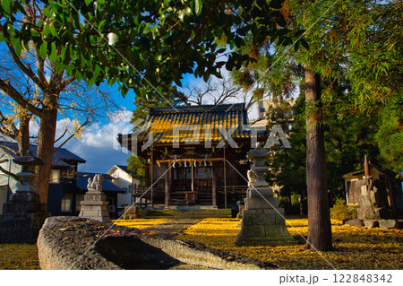 神社は銀杏のじゅうたん 122848342