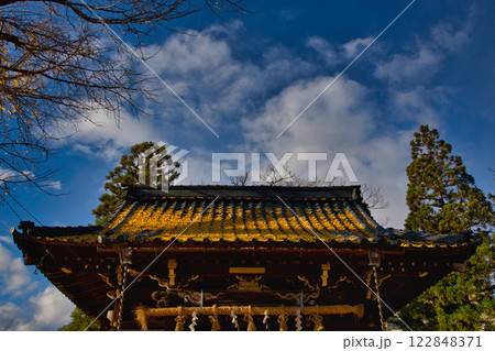 神社は銀杏のじゅうたん 神社は銀杏のじゅうたん 122848371