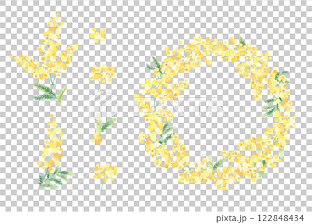Watercolor mimosa flowers and wreath 122848434