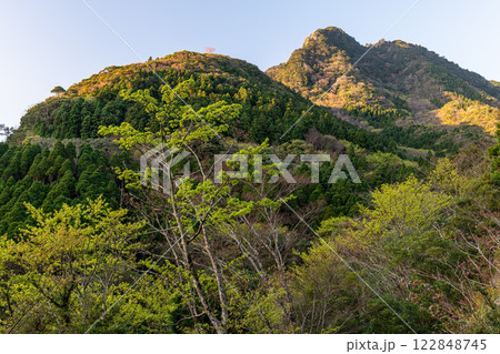 新緑若葉　神が宿る山　洋上アルプス屋久島 122848745