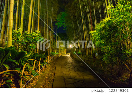 竹林の小径夜景(静岡県-伊豆市修善寺) 122849301