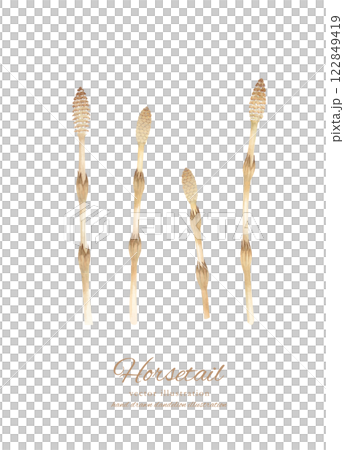 Watercolor hand-drawn horsetail cartoon 122849419