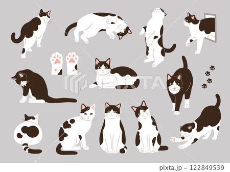 白黒猫のイラスト素材セット 122849539