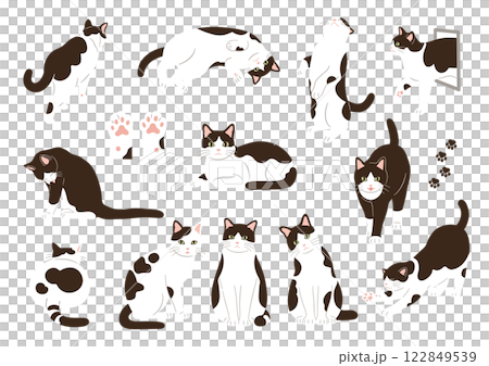 白黒猫のイラスト素材セット 122849539