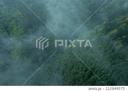 Aerial view of green forest landscape Aerial view of green forest landscape 122849575