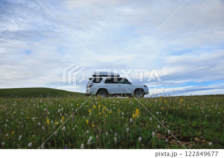 Offroad car on flowering grassland mountain under blue sky 122849677