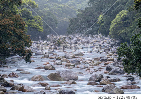 川霧と新緑　宮之浦川渓谷　洋上アルプス屋久島 122849705