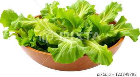 木製ボウルに盛られた新鮮なレタス 木製ボウルに盛られた新鮮なレタス 122849795