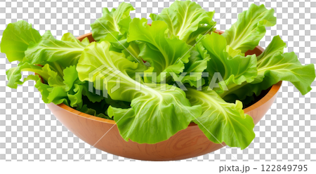 木製ボウルに盛られた新鮮なレタス 木製ボウルに盛られた新鮮なレタス 122849795