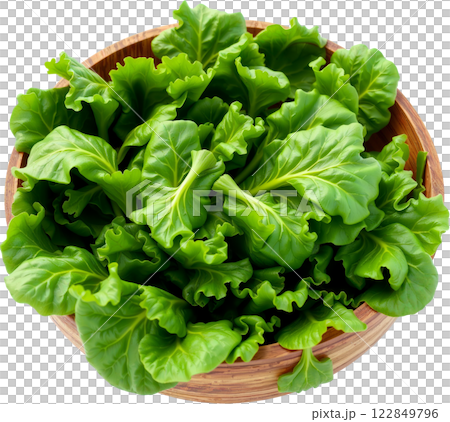 木製ボウルに盛られた新鮮なレタス 木製ボウルに盛られた新鮮なレタス 122849796