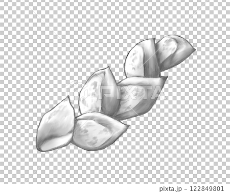 Plain monochrome illustration of an epi 122849801