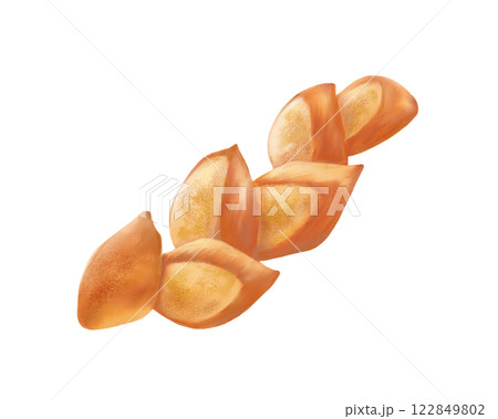 プレーンなエピのリアルな水彩イラスト 122849802