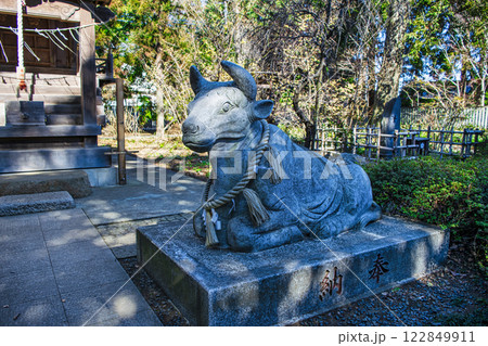 埼玉県白岡市　白岡八幡神社　白岡天満神社の牛の像　湯島天満宮の分霊 122849911