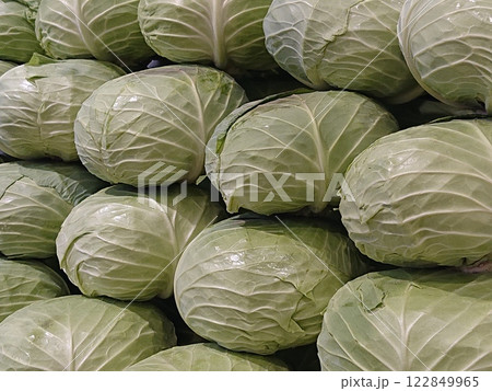新鮮なキャベツ 122849965