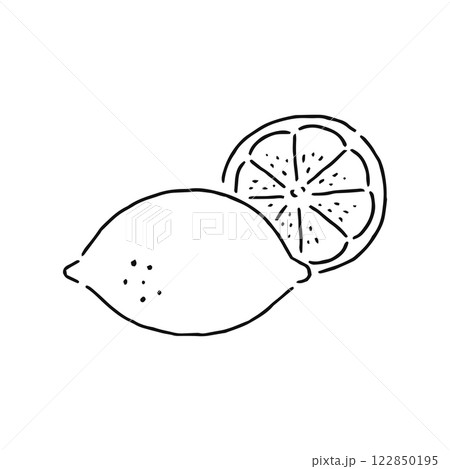 レモン 線画 レモン 線画 122850195