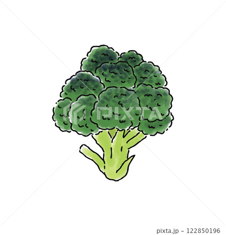 ブロッコリー・水彩風のイラスト素材 [122850196] - PIXTA