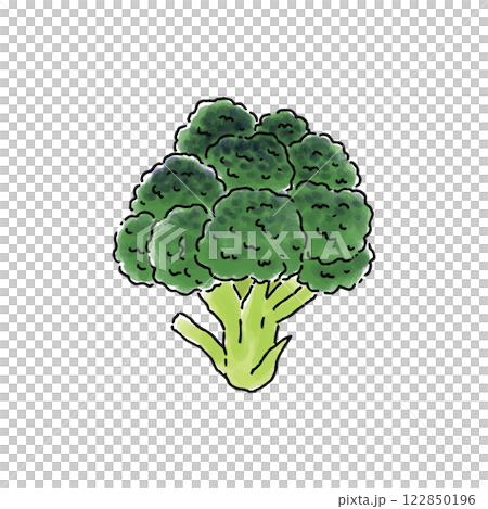 ブロッコリー・水彩風のイラスト素材 [122850196] - PIXTA