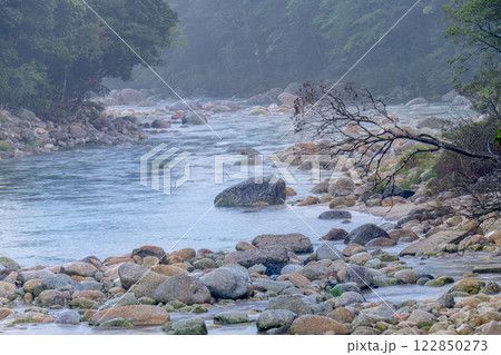 川霧　宮之浦川渓谷　洋上アルプス屋久島(春 122850273