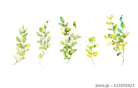 水彩画。水彩タッチのユーカリのベクターイラスト。水彩で描いた葉っぱの装飾フレーム。 122850823