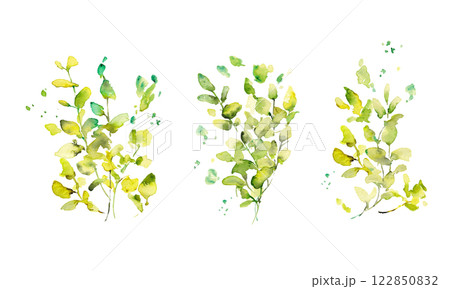 水彩画。水彩タッチのユーカリのベクターイラスト。水彩で描いた葉っぱの装飾フレーム。 水彩画。水彩タッチのユーカリのベクターイラスト。水彩で描いた葉っぱの装飾フレーム。 122850832