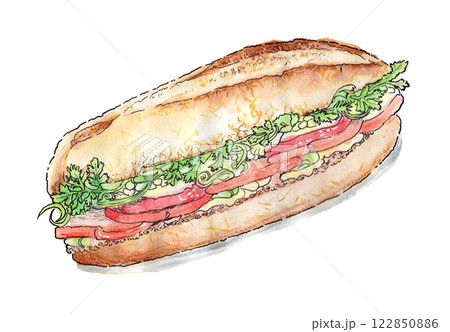 ベトナムのサンドイッチ「バインミー」の手描き水彩イラスト ベトナムのサンドイッチ「バインミー」の手描き水彩イラスト 122850886
