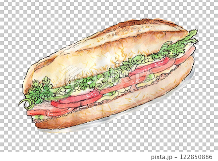 ベトナムのサンドイッチ「バインミー」の手描き水彩イラスト ベトナムのサンドイッチ「バインミー」の手描き水彩イラスト 122850886