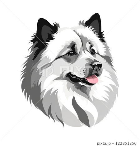 ふわふわ被毛の可愛いキースホンド ふわふわ被毛の可愛いキースホンド 122851256